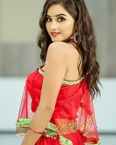 Call Girls Service Sagwara
